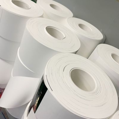 jakość  0.1µM - 5µM Pore Size Nylon (Polyamide) Membrane Filter Circles fabryka